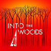 into the woods backing tracks