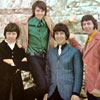 the tremeloes backing tracks